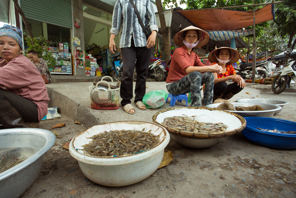 Фотографии Северного Вьетнама: Ханой, Хоабинь, Майчау. Ноябрь 2012